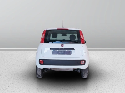 4 - Fiat Panda Cascioli Group