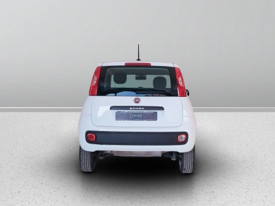 4 - Fiat Panda Cascioli Group