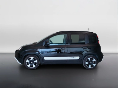 8 - Fiat Panda Cascioli Group