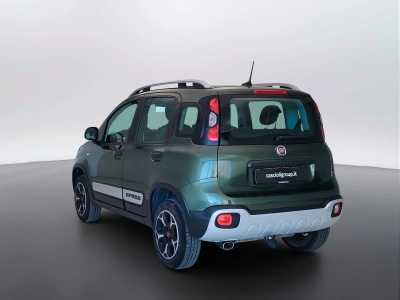 7 - Fiat Panda Cascioli Group