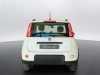 Fiat Panda Panda 1.0 firefly hybrid City Life s&s 70cv
