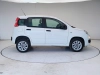 Fiat Panda Panda 0.9 t.air t. natural power Easy 80cv my19