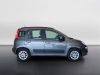 Fiat Panda Panda 1.2 Lounge s&s 69cv my19