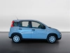 Fiat Panda Panda 1.0 firefly hybrid s&s 70cv