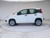 Fiat Panda Panda 0.9 t.air t. natural power Easy 80cv my19