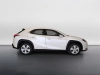 Lexus UX UX 250h 2.0 Business 2wd cvt my20