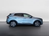 Kia Sportage Sportage 1.6 crdi mhev Business imt