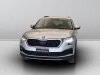 Skoda Kodiaq Kodiaq 2.0 tdi evo Executive dsg