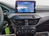 Ford Focus Focus SW 1.5 ecoblue Business 120cv auto