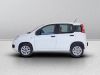 Fiat Panda Panda 0.9 t.air t. natural power Easy 70cv