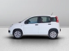 Fiat Panda Panda 0.9 t.air t. natural power Easy 70cv