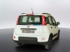 Fiat Panda Panda 1.0 firefly hybrid City Life s&s 70cv