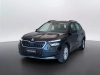 Skoda Kamiq Kamiq 1.0 tsi Ambition 110cv