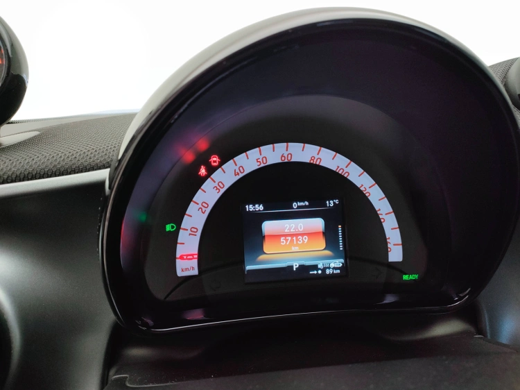 17 - smart forfour Forfour eq Pulse 22kW