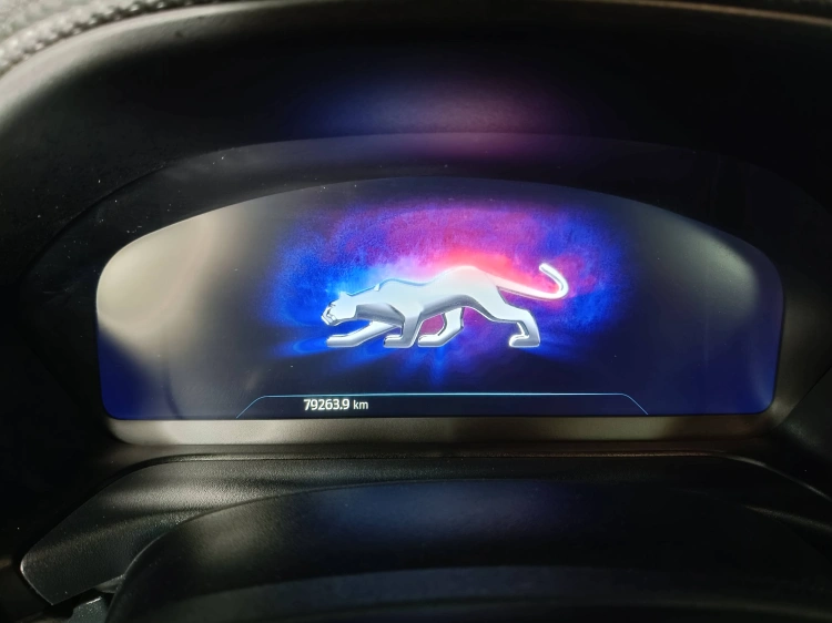 12 - Ford Puma Puma 1.0 ecoboost hybrid ST-Line X s&s 125cv