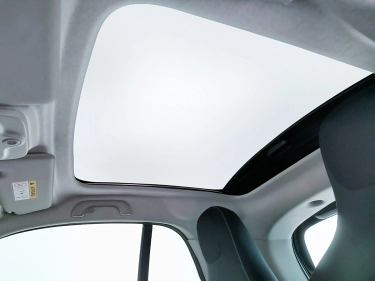 10 - smart fortwo Fortwo 1.0 Passion 71cv twinamic