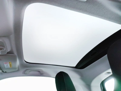 9 - smart fortwo Cascioli Group
