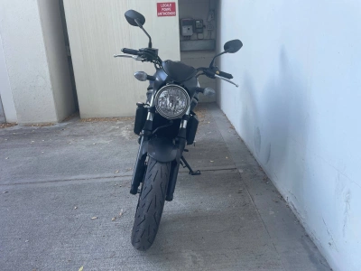 2 - Suzuki SV Cascioli Group