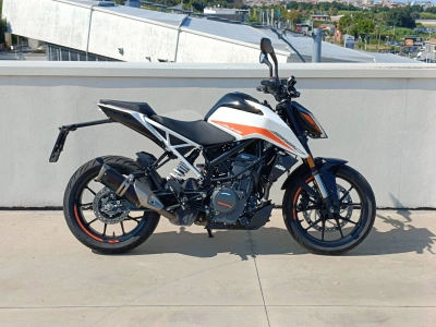 1 - Ktm Duke Cascioli Group