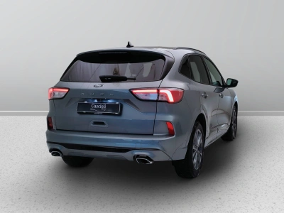 6 - Ford Kuga Cascioli Group