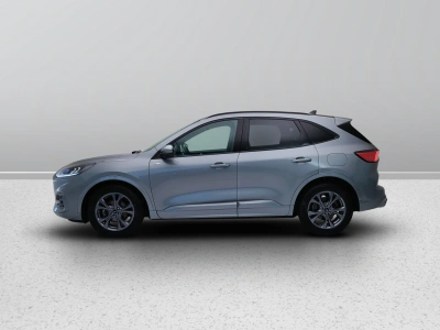 3 - Ford Kuga Cascioli Group